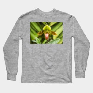 Green Long Sleeve T-Shirt